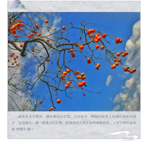 1731294375167.png