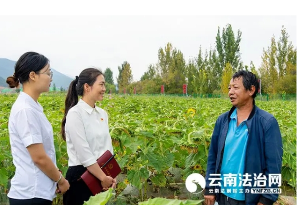 微信截图_20241121161037