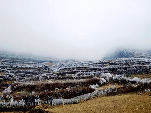 工会王晓琳_副本.jpg