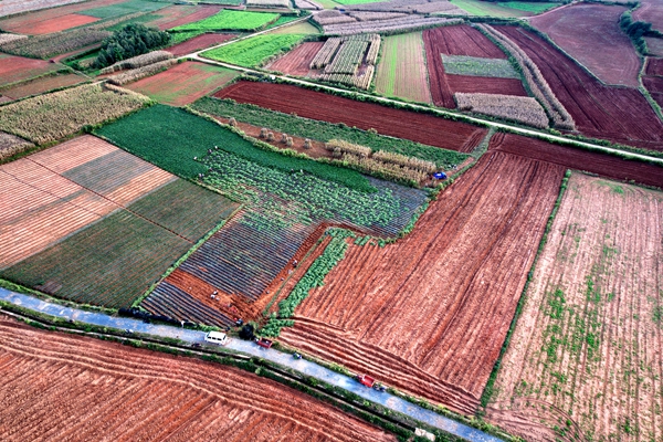 DJI_0757_副本.jpg