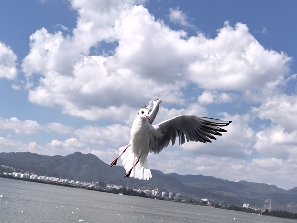 王佳静拍摄.jpg