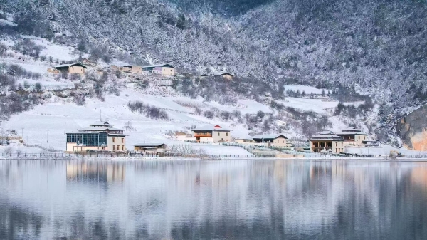 盘龙