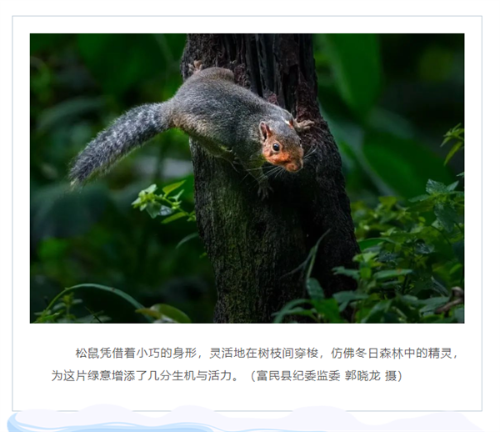 图片6.png