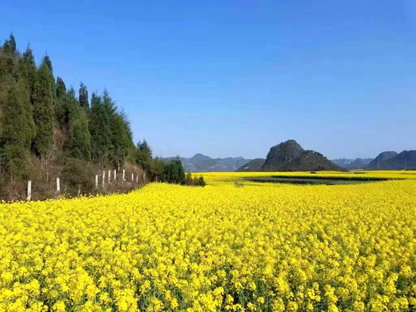 发改局 夏红 (5)_副本.jpg
