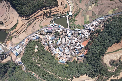 333DJI_0973.jpg