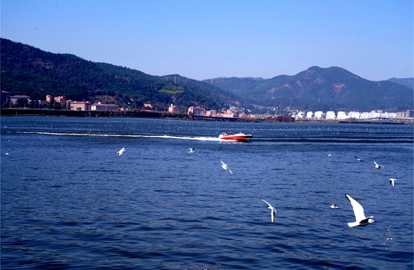 DSC05059(1)_副本_副本.jpg