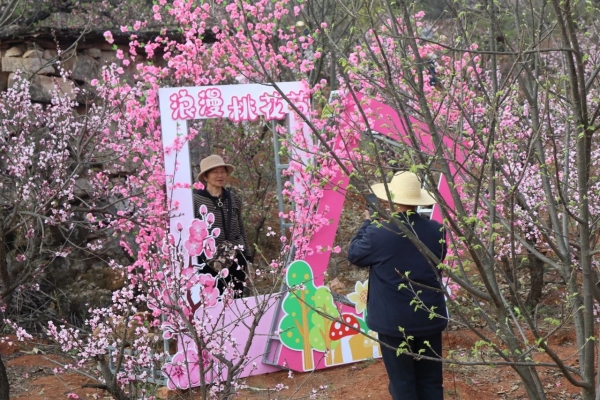 桃花树下打卡.jpg