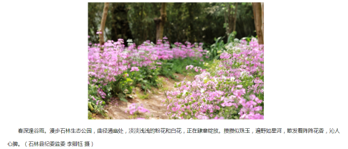 ef4b295f3b7476a28d09dc4baefb765.png