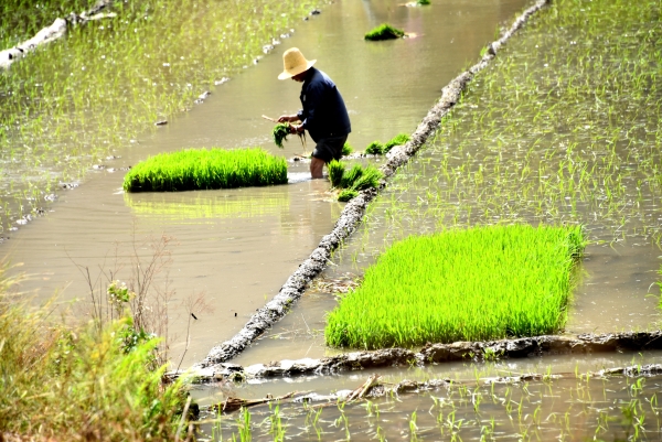 东川