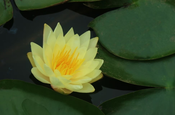 昆明