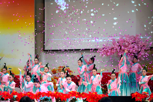 图片8_副本.png