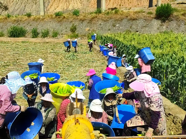 农业农村局 陈林1_副本.jpg
