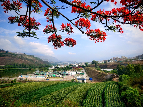 文旅局 陈文高_副本.jpg