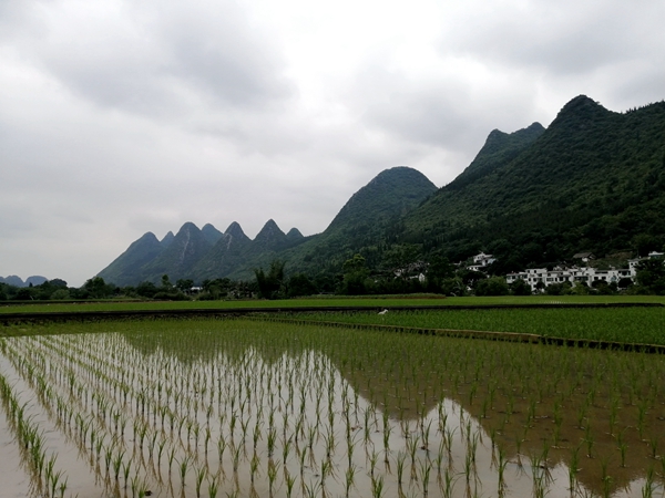 工会 陈兴梅_副本.jpg