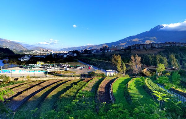 文旅局 陈文高_副本.jpg