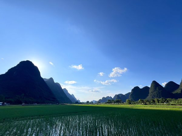 卫健局 李珂瑶_副本.jpg