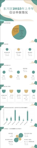 信访2025上半年裁剪后.jpg