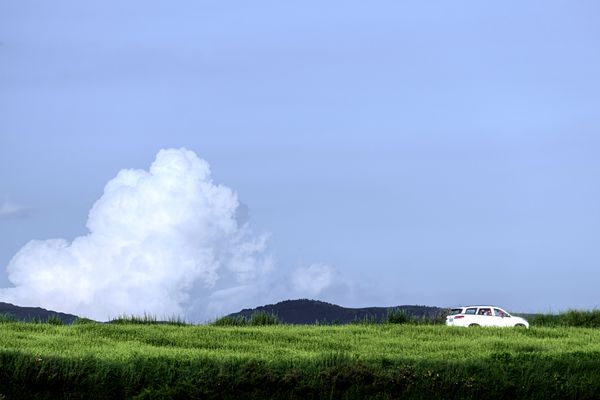 乌龙镇 张虎_副本.jpg
