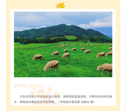 024b3210-893a-43e7-a6b4-d4e97ac52fc4.png