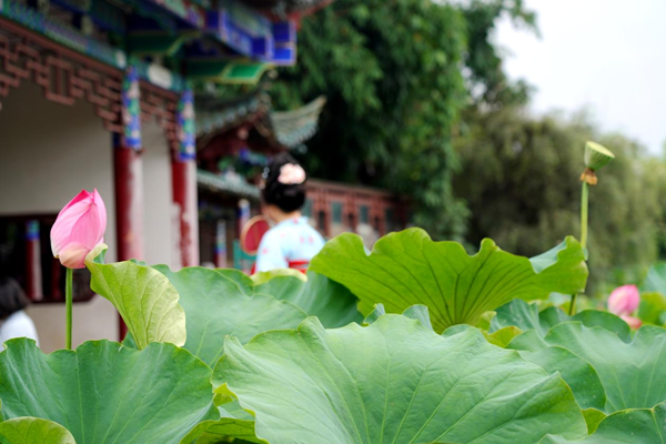 图片5_副本.png