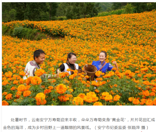 清风春城8.24.png