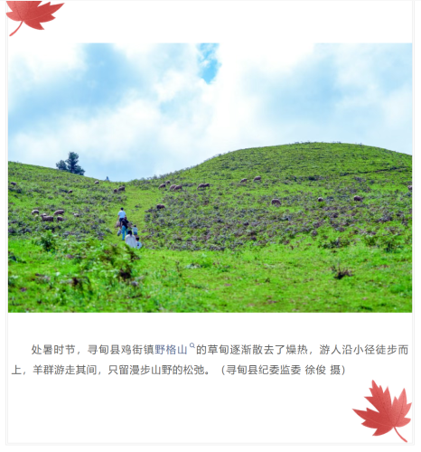微信图片_20250827153013_51_9.png
