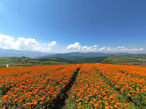 综合行政执法局 刘祥芬_副本.jpg