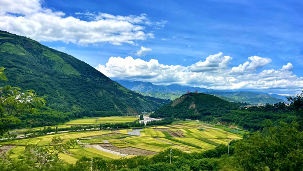 区林草局范如昱供图 (6)_副本.jpg
