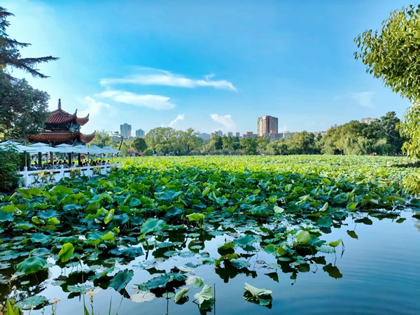 公孙玉洁 文旅_副本.jpg