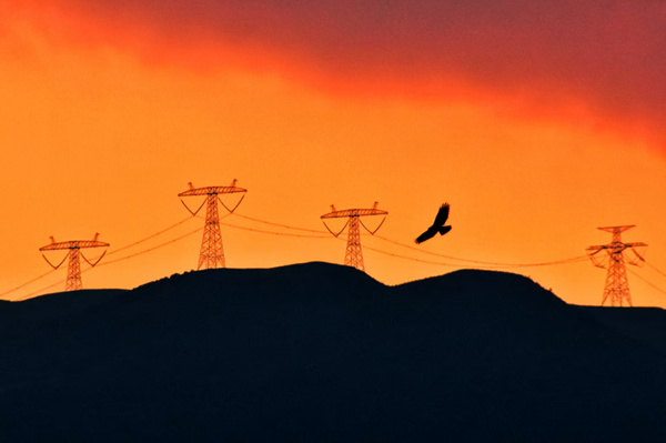 统战部 蔡余华_副本.jpg