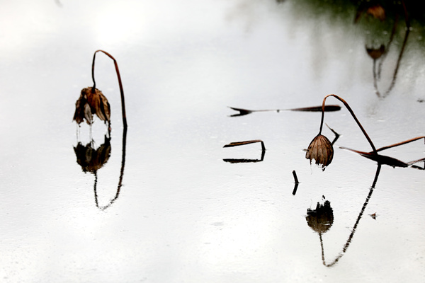 教体局 朱冰_副本.jpg