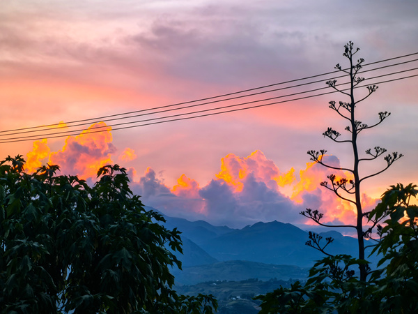 公安局 李波        达贝所10_副本.jpg