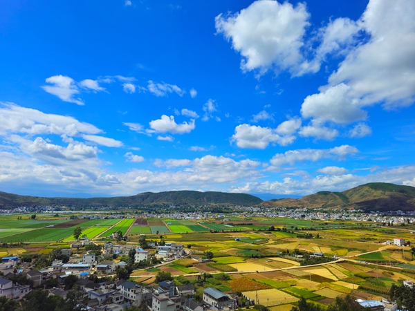统战部 蔡余华_副本.jpg