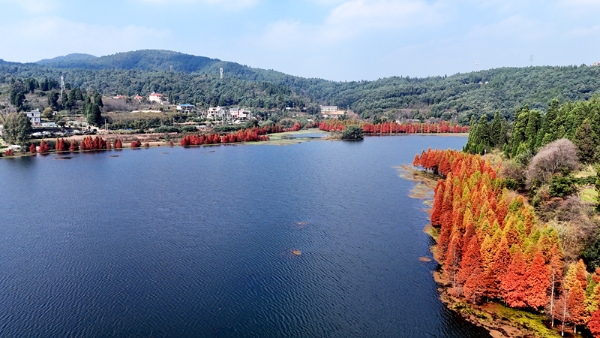 1763349260395042089.jpg ss1.jpg