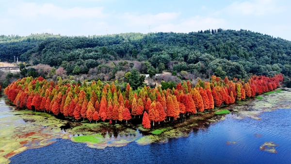 1763349595615048487.jpg ss8.jpg