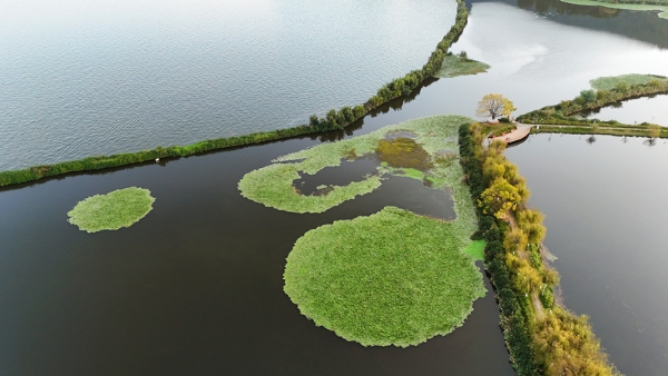 1764090776888057259.jpg wjd3.jpg