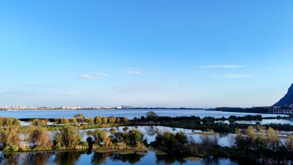 1764090803089010276.jpg wjd6.jpg