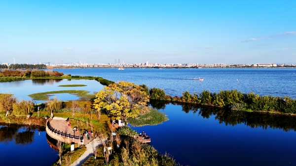 1764090812625089542.jpg wjd7.jpg