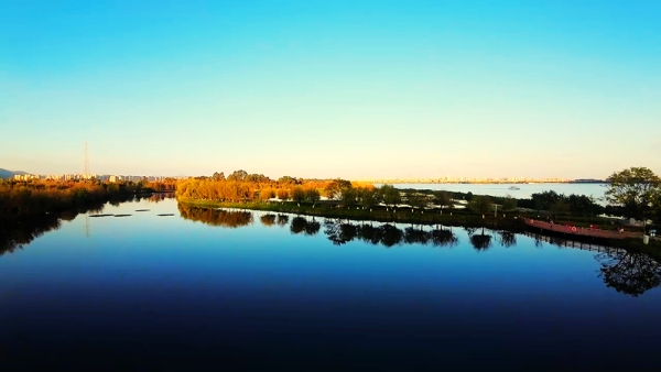 1764090820902060338.jpg wjd8.jpg