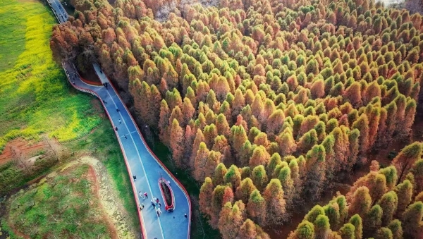 微信图片_20251207133114