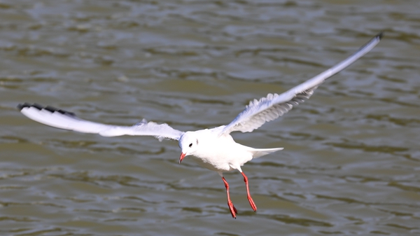 1765787062556004848.jpg 9H0A7290_副本.jpg