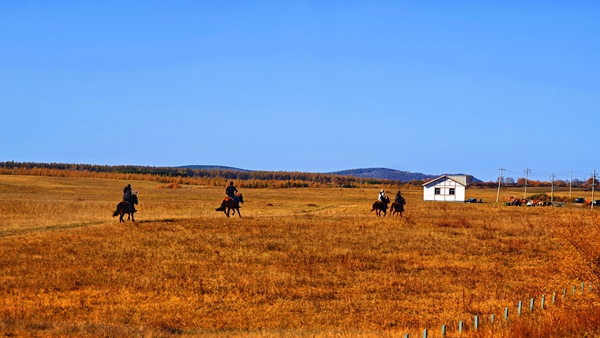 1764840910974056046.jpg 因民 孟琪_副本.jpg