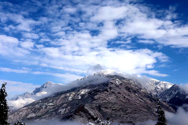 1764840924940093008.jpg 区林草局 徐永华 (2)_副本.jpg