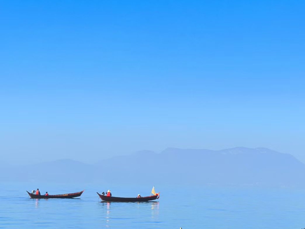 陈红艳 (3)_副本.jpg