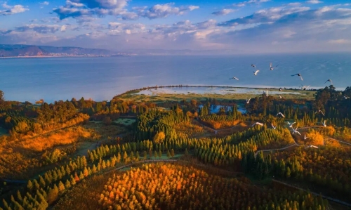 1766459171016019029.jpg 640.jpg