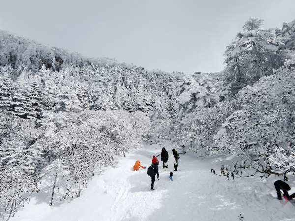 微信图片_20251231155644_844_39