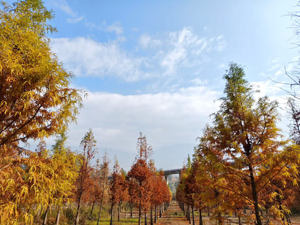 区林草局李万涛 (4)_副本_副本.jpg