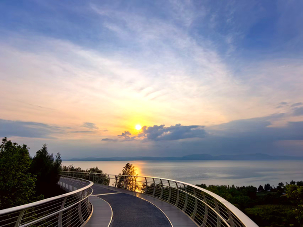 滇池林草局 李成梅 (8)_副本.jpg