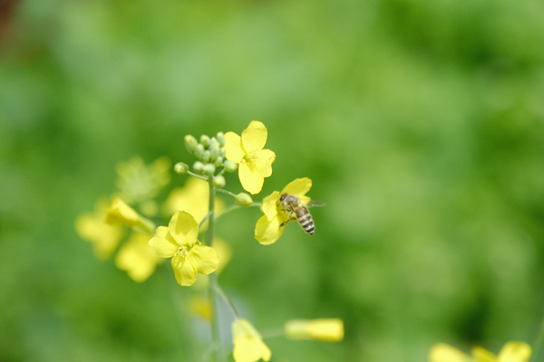 区法院-符睿智拍摄 (2)_副本.jpg