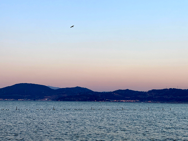 阿旺镇 杨诗宇_副本.jpg